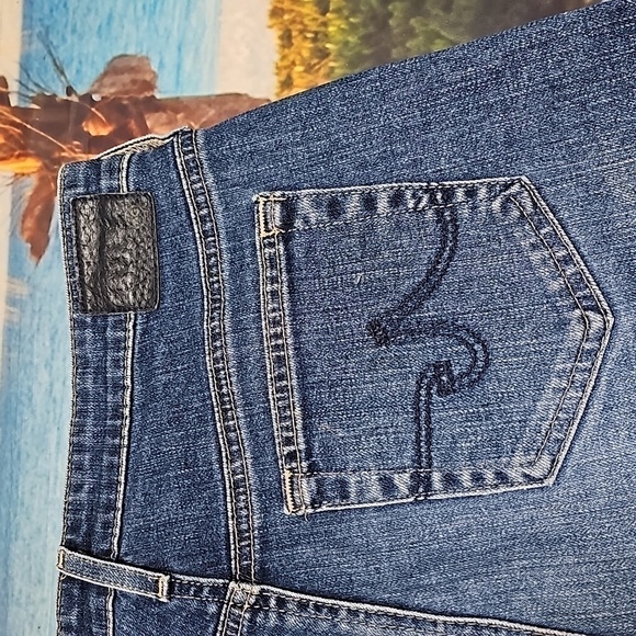 Ag Adriano Goldschmied Hailey Ex Boyfriend Frayed Hem Denim Shorts Size 25 - Picture 4 of 5